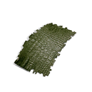 Bay Crocodile Skin