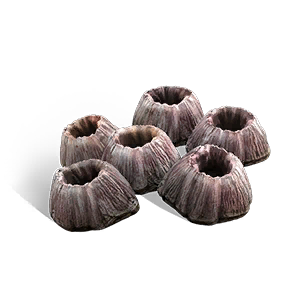 Barnacle