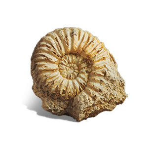 Fossil - Materials in Once Human