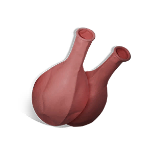 Small Balloon