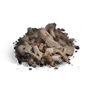 Bone Scraps