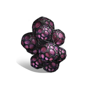 Cortex Cluster Level 4