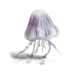 Ursula