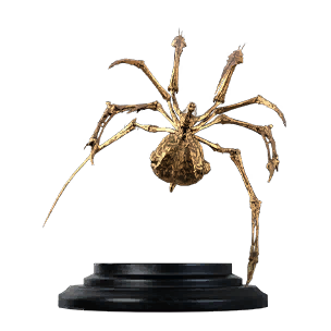 Spider Sweep