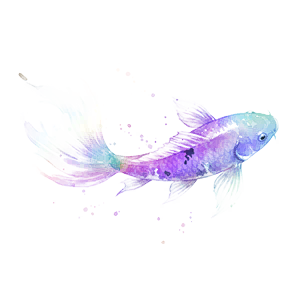 Decal: Koi Fish