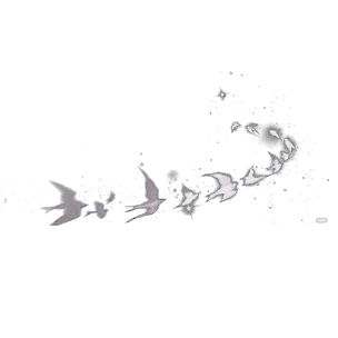Decal: Starry Swallow Trail