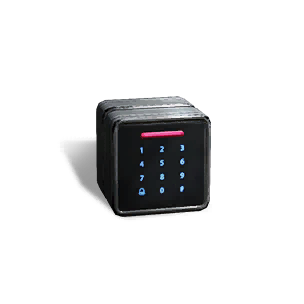 Formula: Passcode Lock