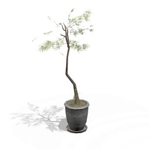 Formula: Pot Plant Ⅰ