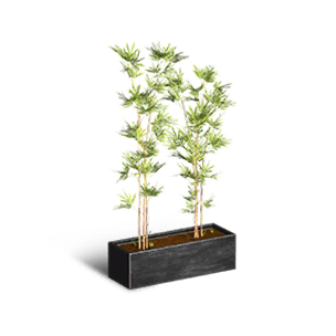 Formula: Bonsai Bamboo