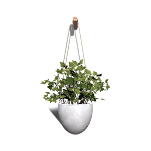 Formula: Wall-Climbing Ivy