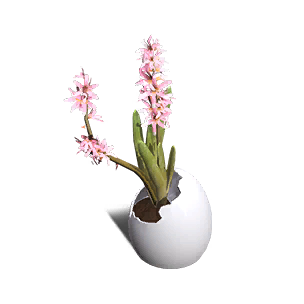 Formula: Pink Hyacinth