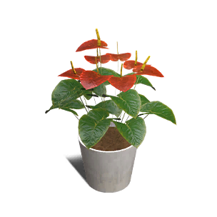 Formula: Anthurium Vase