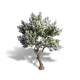 Formula: Crape Myrtle Tree