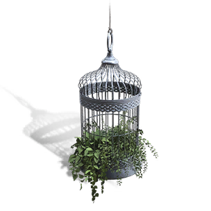 Formula: Hanging Cage