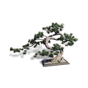 Formula: Fern Pine - Sturdy Bone