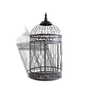 Formula: Exquisite Iron Cage
