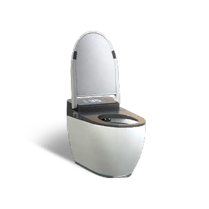 Formula: Smart Toilet