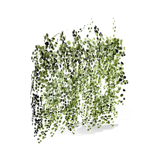 Formula: Wall Vines Ⅰ
