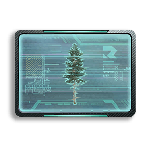 Formula: Spruce 1
