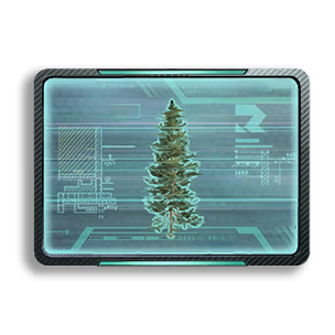 Formula: Fir 1