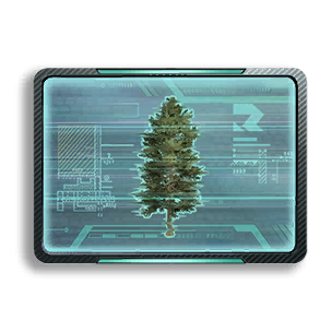 Formula: Fir 5