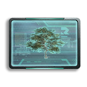 Formula: Broadleaf Maple 1