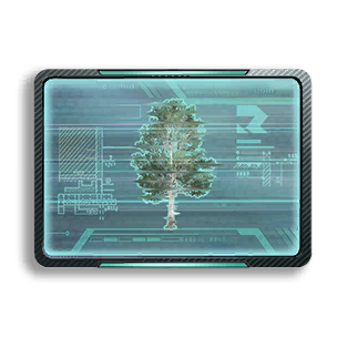 Formula: Sycamore 1