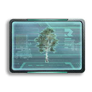Formula: Sycamore 2