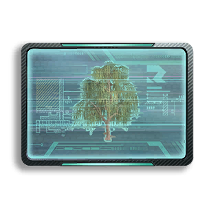 Formula: Willow I
