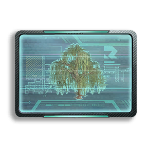 Formula: Willow 2