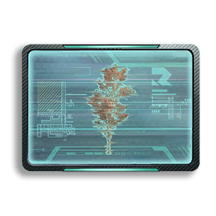 Formula: Maple 1