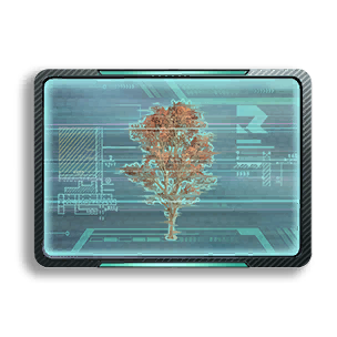 Formula: Maple 2