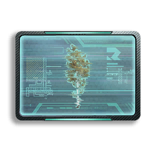 Formula: Birch 3
