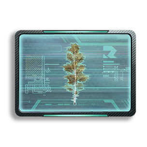 Formula: Birch IV