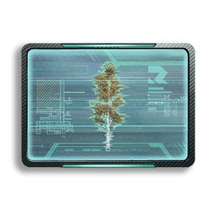 Formula: Birch 5