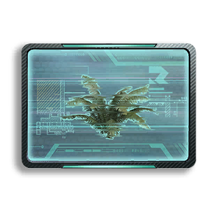Formula: Fern 1