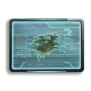 Formula: Fern 3