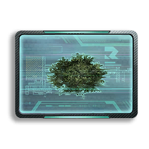 Formula: Shrub I