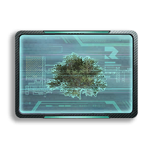 Formula: Shrub 4