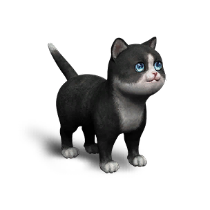 Extradimensional Cat - Good Fortune