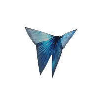 Butterfly's Emissary - Glistening Blue
