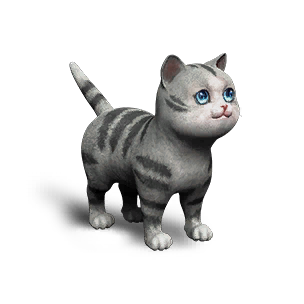 Extradimensional Cat