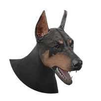 Doberman