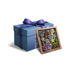 Green Potted Plant Collection
