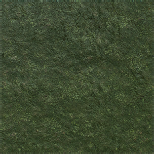 Grass Turf