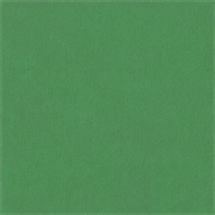 Lime Green Ceiling