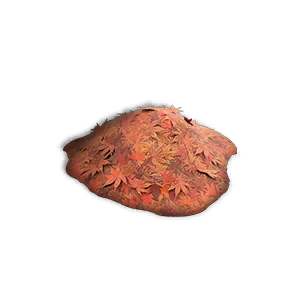 Loamy Soil: Red Maple