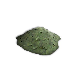 Loamy Soil: Green Leaves