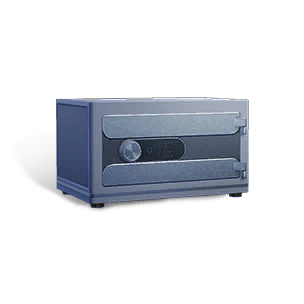 Large Crate: Safe