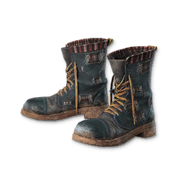 Cowboy Boots